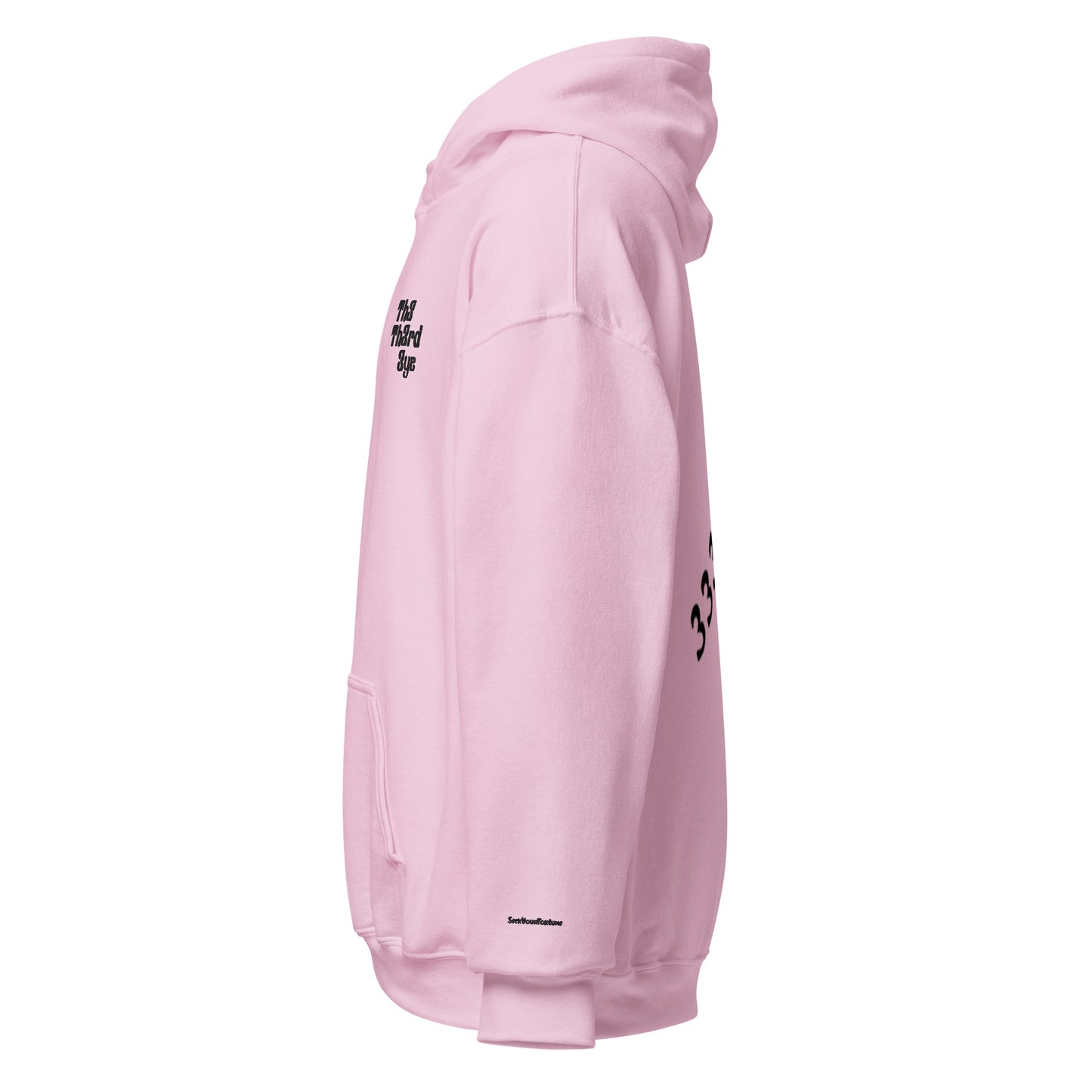 Th3th3rd3ye BCA hoodie